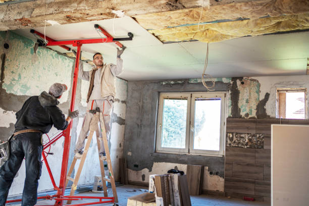 Best Types of Insulation in Holly Lake Ranch, TX