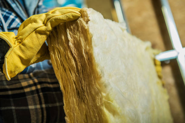 Best Specialty Insulation in Holly Lake Ranch, TX